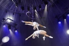 Artists help Vietnamese circus win global respect