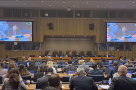 Vietnam urges nuclear non-proliferation across three pillars
