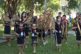 Dak Lak to host Cultural Festival of Ethnic Groups 2023 