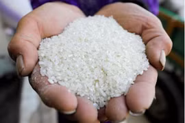 India allows export of rice to Singapore
