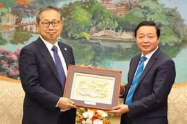 Vietnam keen on working with Japan in implementing global commitments, goals