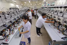 HCM City gains considerable achievements in sci-tech development