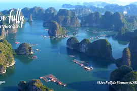 Vietnam’s tourism website remains hot