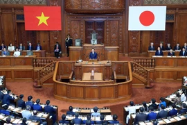 Vietnam-Japan relations expected to grow further