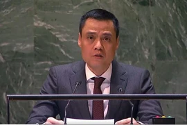 Vietnam contributes 500,000 USD to aid Palestinians 