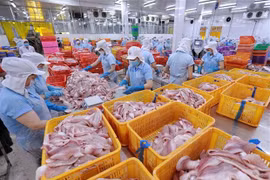 Firms advised to study partners before trading in Latin America