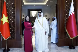 Vietnam looks to promote comprehensive cooperation with Qatar: Vice President