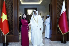 Vietnam looks to promote comprehensive cooperation with Qatar: Vice President
