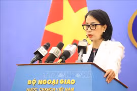 Vietnam to coordinate with US to concretise joint statement: spokeswoman