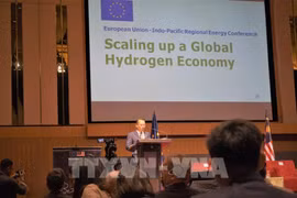 Malaysia highlights importance of hydrogen economy in global context