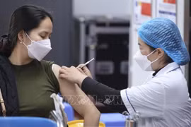 Vietnam in sustainable management phase of COVID-19 pandemic: WHO representative