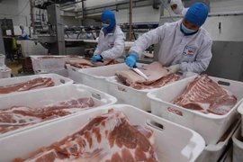 Meat producers forecast to see more positive results