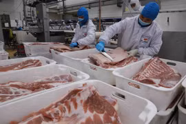 Meat producers forecast to see more positive results