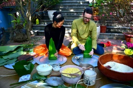 Foreign ambassadors extend Lunar New Year wishes to Vietnam