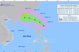 Storm Saola to enter East Sea, causing rough seas