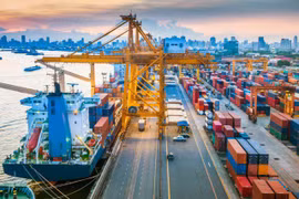 WTO Director-General’s visit reflects significant attention to Vietnam’s development: official