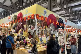 Vietnam attends international craft exhibition in Italy