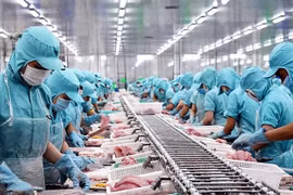 Aquatic product exports likely to reach 9 billion USD this year: VASEP