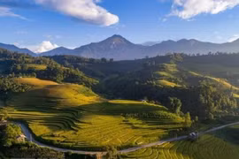 HCM City, northwestern region welcome 69.2 million visitors 