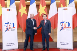 Vietnam, France – accompanying, reliable partners: Ambassador