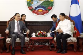 Senior Lao leaders receive Vietnamese Party delegation