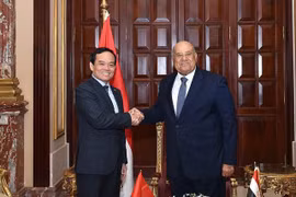  Deputy PM meets with top Egyptian legislators