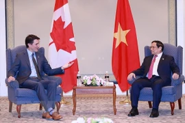 Vietnam-Canada relations enjoy “quantum leaps”: Ambassador