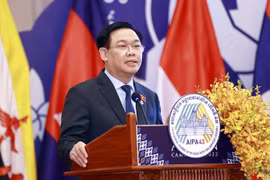 Top legislator’s visit to boost Vietnam-Indonesia strategic partnership: official