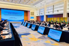 Vietnam, China boost cooperation in SOE reform, development