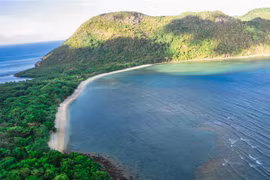 Sea turtle nesting season starts at Con Dao National Park