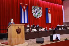 NA Chairman’s visit forms new milestone in Vietnam - Cuba ties: former ambassador