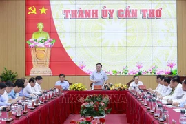 Can Tho city requested to fulfil responsibility towards region, country