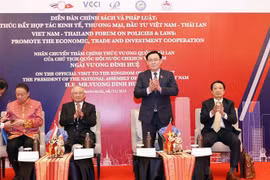NA leader suggests ways for fostering Vietnam - Thailand economic ties