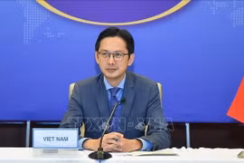 Vietnam resolved to join effort in addressing challenges in Mekong River basin: official