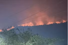 Forest fires, air pollution hit danger level in Laos