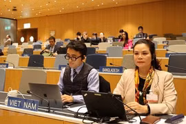 Vietnam attends WIPO’s Copyright Committee 44th session