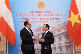 Vietnam hopes to cultivate ties with Austria: Foreign Minister