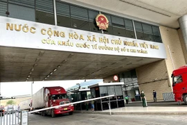 Farmers look to capitalise on increased agricultural product exports to China