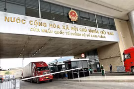 Farmers look to capitalise on increased agricultural product exports to China