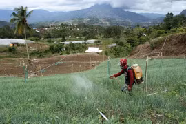 ASEAN to launch regional village network documents