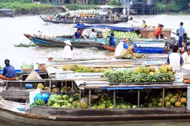 Mekong Delta needs further coordination to boost tourism