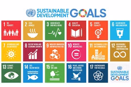 Vietnam’s report on SDG implementation announced