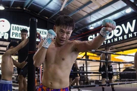 Boxers fight for international titles in HCM City