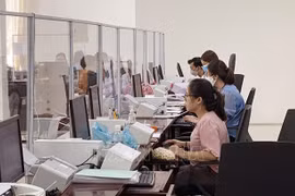 Shortcomings of provincial public service portals identified