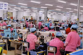 Kien Giang’s industrial production value increases by 10% in five months