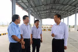 Thua Thien-Hue asked to roll out concerted solutions to illegal fishing