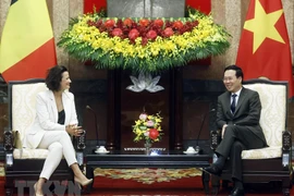Vietnam keen on further promoting ties with Belgium: President