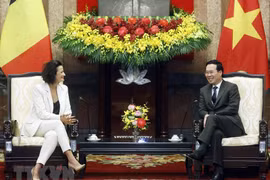 Vietnam keen on further promoting ties with Belgium: President
