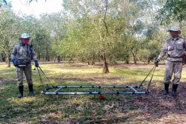 Quang Tri mobilising resources to tackle bomb/mine pollution