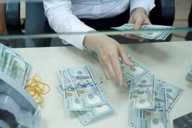 Reference exchange rate up 6 VND